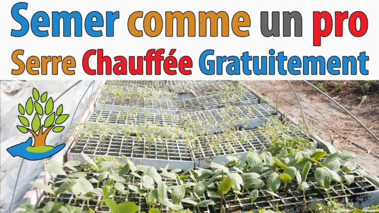 Comment semer comme un pro – Serre chauffée naturellement