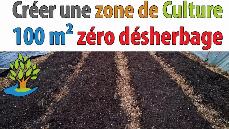 Objectif Zéro Désherbage – Créer une zone de culture de 100 m²