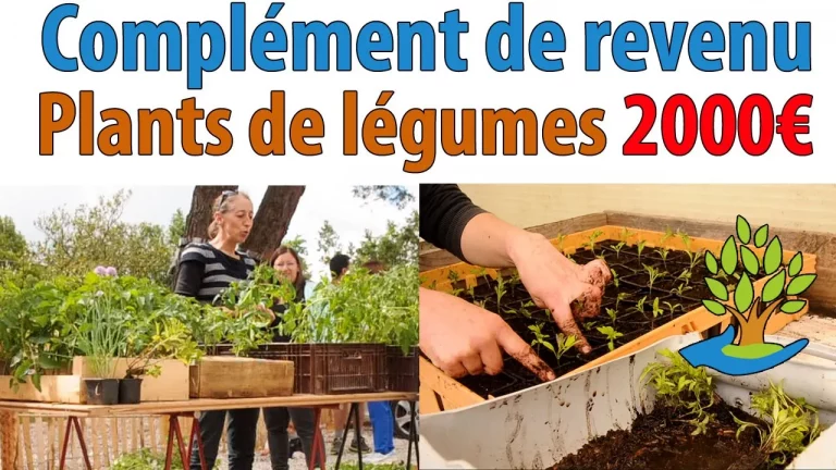 Complément de revenu : gagnez jusqu’à 2000€ avec la vente de plants de légumes