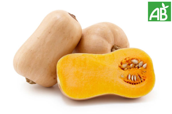Butternut - l'unité