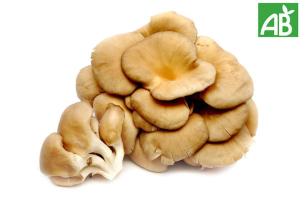 Champignon - 250grs