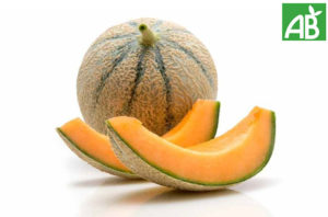 Melon charentais