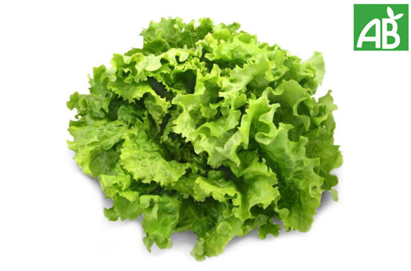 Salade - l'unité