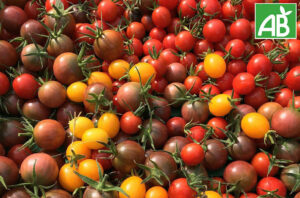 Tomate cerise bio - 250grs